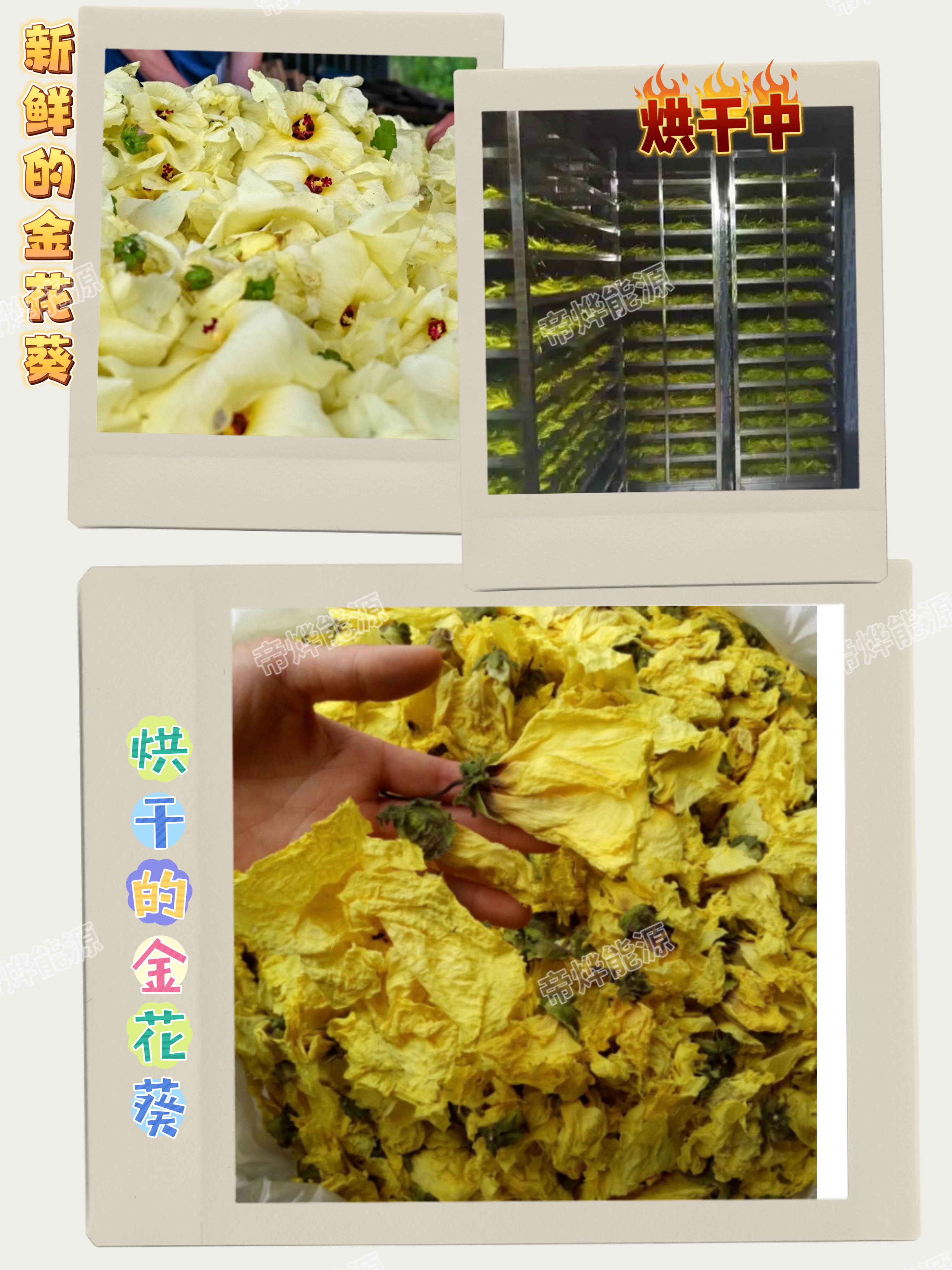 870ce36afb87c5db339a523e32033df.jpg