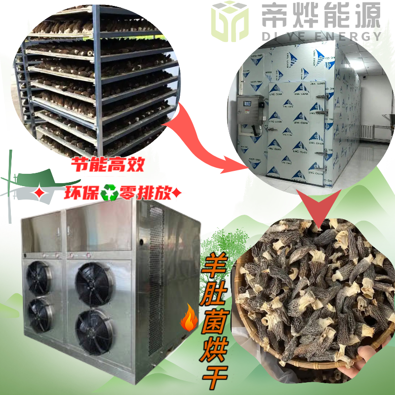 e76812cf51b8c9cb4c25e51f3d777ff.png