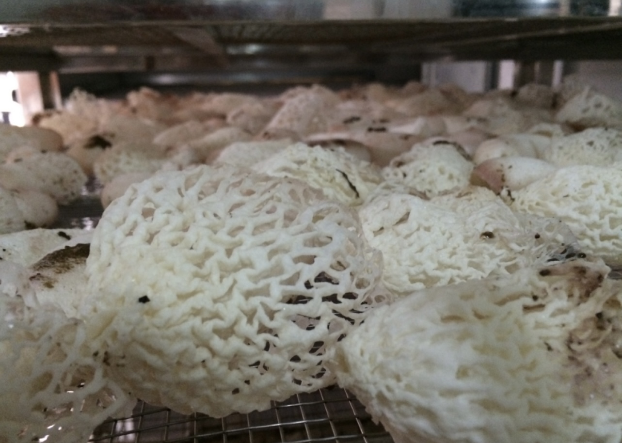 热泵烘干机在竹荪烘干过程中如何实现节能？