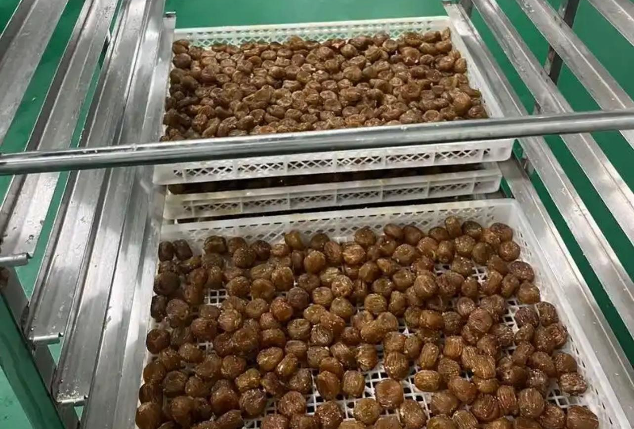 金丝蜜枣的热泵烘干工艺：传统美味的现代升华