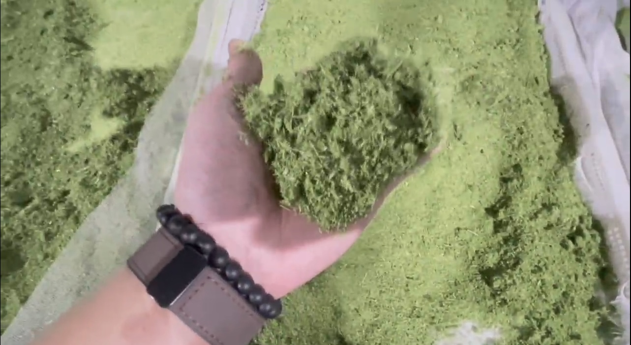 牧草烘干：含水量从80%降至15%以下，保持翠绿不变色。