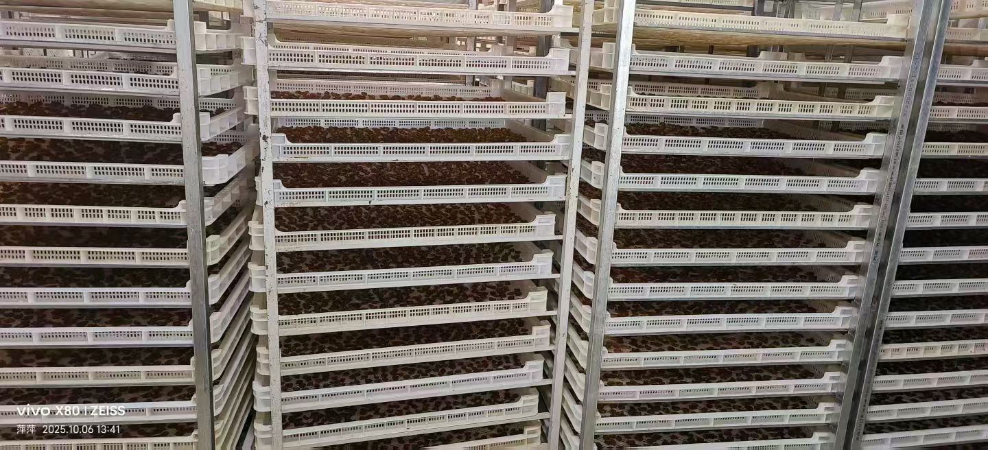 空气能烘干糖果：高效环保又节能