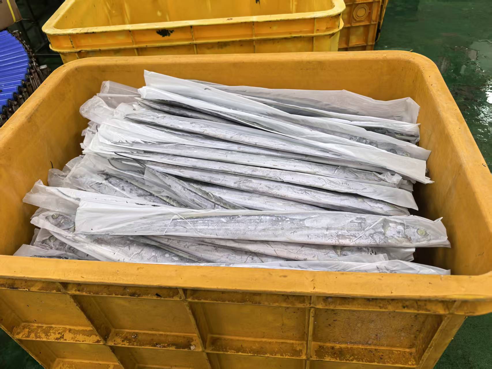 韩国：海产品烘干项目进行中