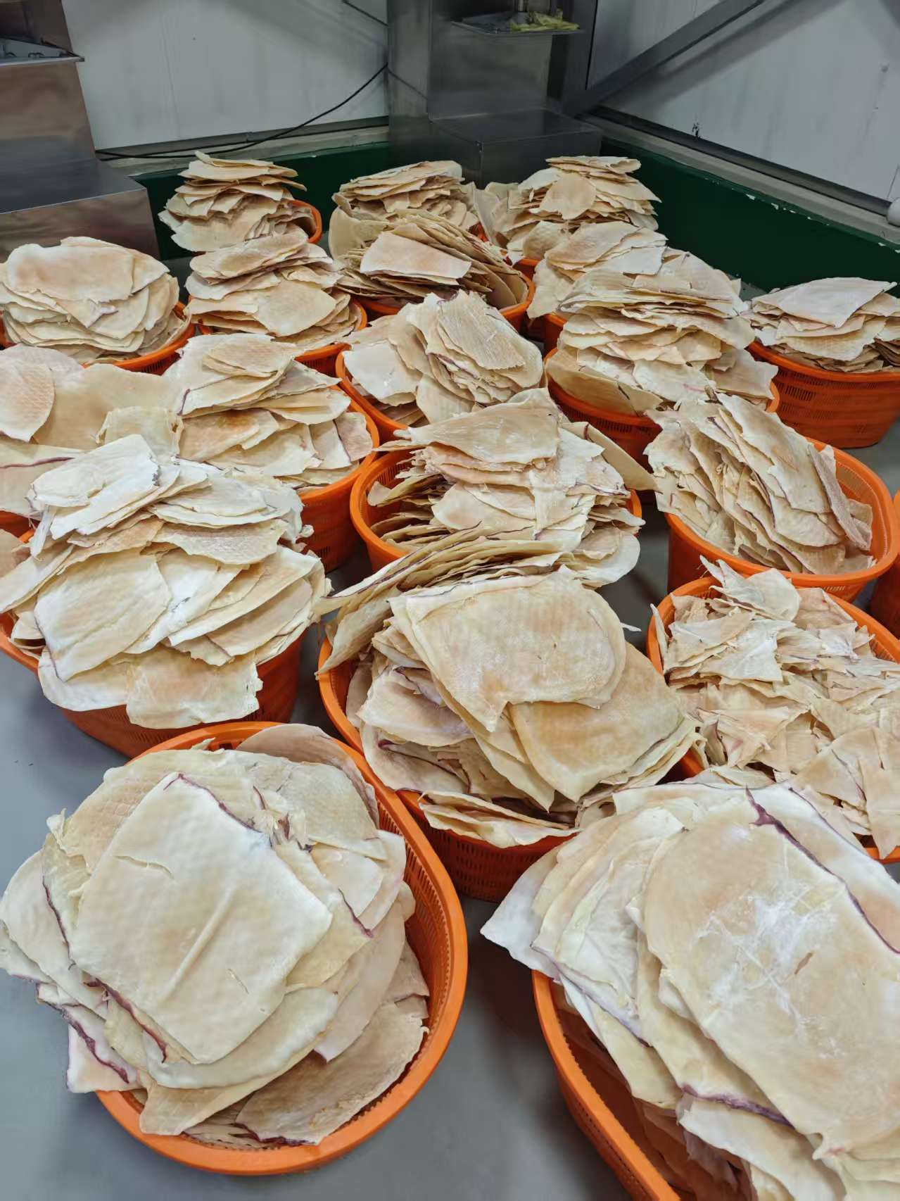 舟山鱿鱼丝烘干项目